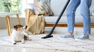 best pet friendly cleaning s for