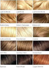 Goldwell Topchic Hair Color Swatches Lajoshrich Com