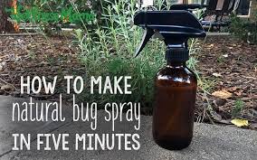 natural bug repellent recipes that work