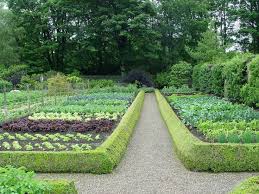 Boxwood Edged Vegetable Beds At