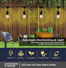 Buy Outdoor Solar Festoon Lights