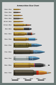Vintage Outdoors Ammo Size Comparison Charts