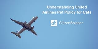 united airlines pet policy for cats