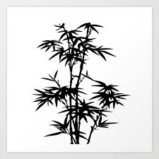 Bamboo Silhouette Black And White Art