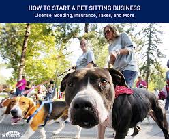 How To Start A Pet Sitting Business License Bonding Insurance