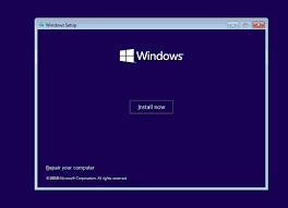 install windows 11 10 on gpt parion
