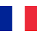 Résultat de recherche d'images pour "logo word drapeau français"