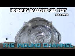 Amazing Ballistic Gel Test Hornady 223 30 06