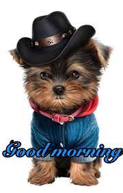 Good morning cowboy gif