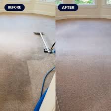 the king carpet upholstery cleaning