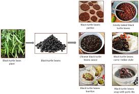 promoting effects of black beans