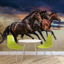 Horse Pony Wall Paper Mural Buy At