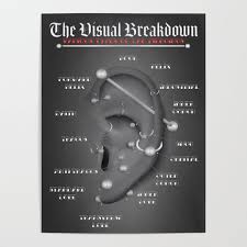 Ear Piercing Infographic Chart Black Gray Poster By Jarrodjvandenberg
