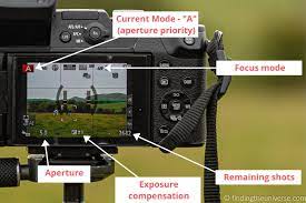 how to use a mirrorless camera a
