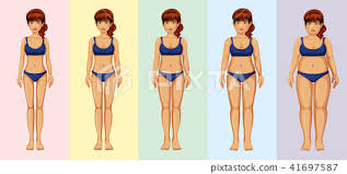 Choose from over a million free vectors, clipart graphics, vector art images, design templates, and illustrations created by artists worldwide! A Woman Body Transformation Stock Illustration 41697587 Pixta