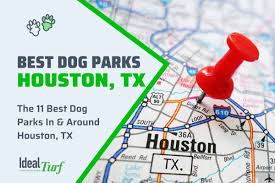 the 11 best houston area dog parks to