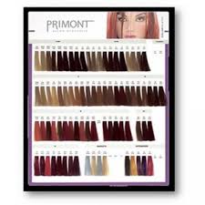 Hair Color Swatch Chart Best Picture Of Chart Anyimage Org