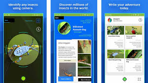 Accurate, fast and rich in content! 10 Best Plant Apps And Flower Identification Apps For Android