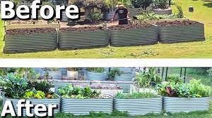 cow manure in raised garden beds