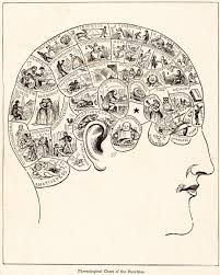 Neuroscientists Put The Dubious Theory Of Phrenology