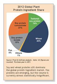 2012 Plant Protein Ingredient Market Copy Global Food Forums