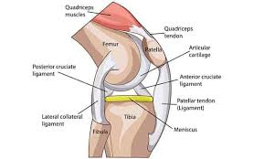 sharp knee pain from squatting 5