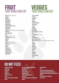 Helpful List Of Foods That Dogs Can Cant Eat Foods