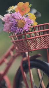 Maybe you would like to learn more about one of these? Bike Basket Flowers 750x1334 Iphone 8 7 6 6s Wallpaper Background Picture Image