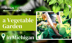 Plant A Vegetable Garden In Michigan