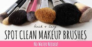 spot clean makeup brushes