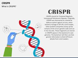 crispr powerpoint template and google