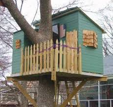 Kauri Treehouse Plans To Build In One