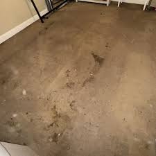 carpet cleaning in new orleans la