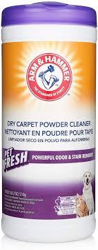 5 best carpet powders feb 2024