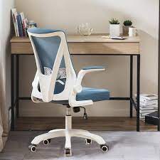 Fenbao Ergonomic Blue Mesh Chair