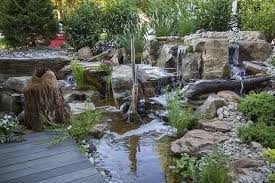 23 Natural Diy Backyard Pond Ideas You