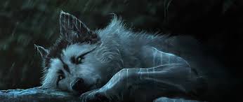 Tons of awesome fantasy wolf wallpapers to download for free. 2560x1080 Fantasy Wolf Painting 2560x1080 Resolution Wallpaper Hd Artist 4k Wallpapers Images Photos And Background Wallpapers Den