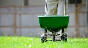 to fertilize your lawn in the spring
