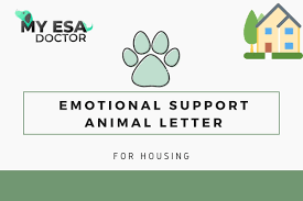 Are you looking for an emotional support animal letter template online? Free Esa Letter Online Shopping