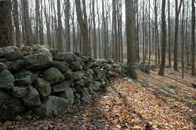 Connecticut S Stone Walls History In