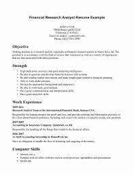 Business Intelligence Analyst Resume Lovely Resume Market Research