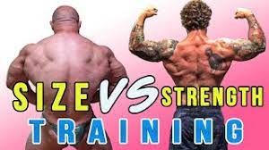training for size vs strength