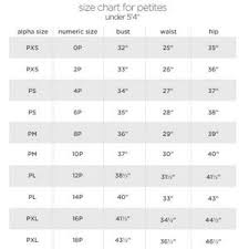 47 Particular Worthington Clothing Size Chart