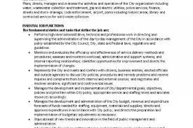 Sample Chief Administrative Officer Job Description Icma Org
