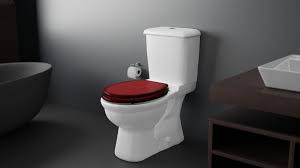 Adshank Elongated Toilet Seat Cover