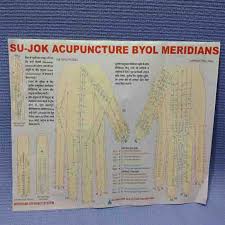 Sujok Acupuncture Byol Meridian Chart