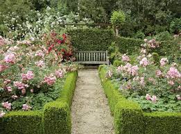 Garden Design Rose Garden Design