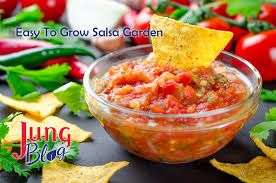 easy to grow salsa garden jung seed s