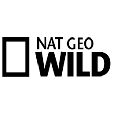 Image result for nat geo wild channel
