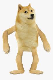 Large collections of hd transparent doge png images for free download. Doge Png Transparent Png Download Kindpng